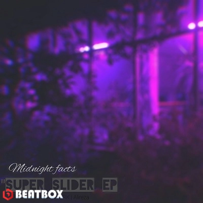 بیت  Midnight Facts