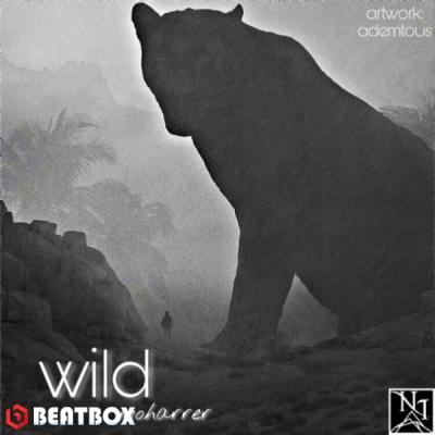 بیت  wild